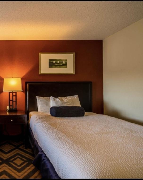 The Patch Lodge Warroad المظهر الخارجي الصورة